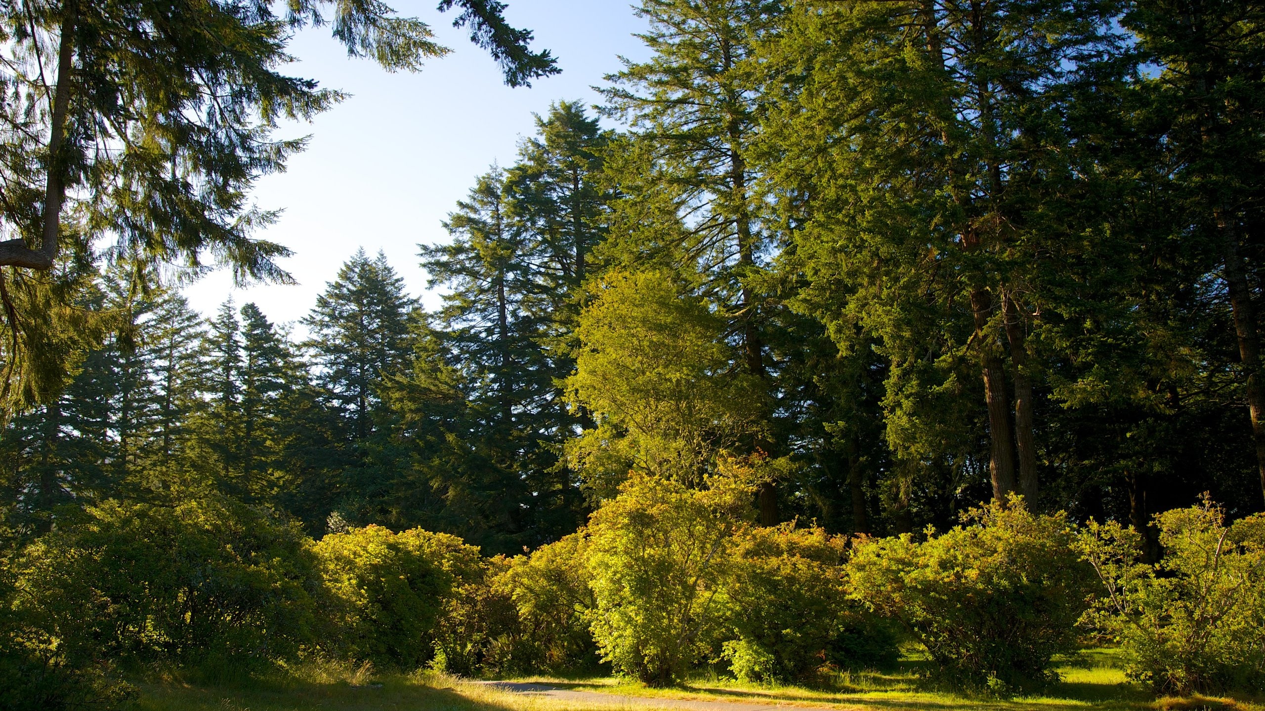 Azalea Park, Brookings Vacation Rentals house rentals & more Vrbo