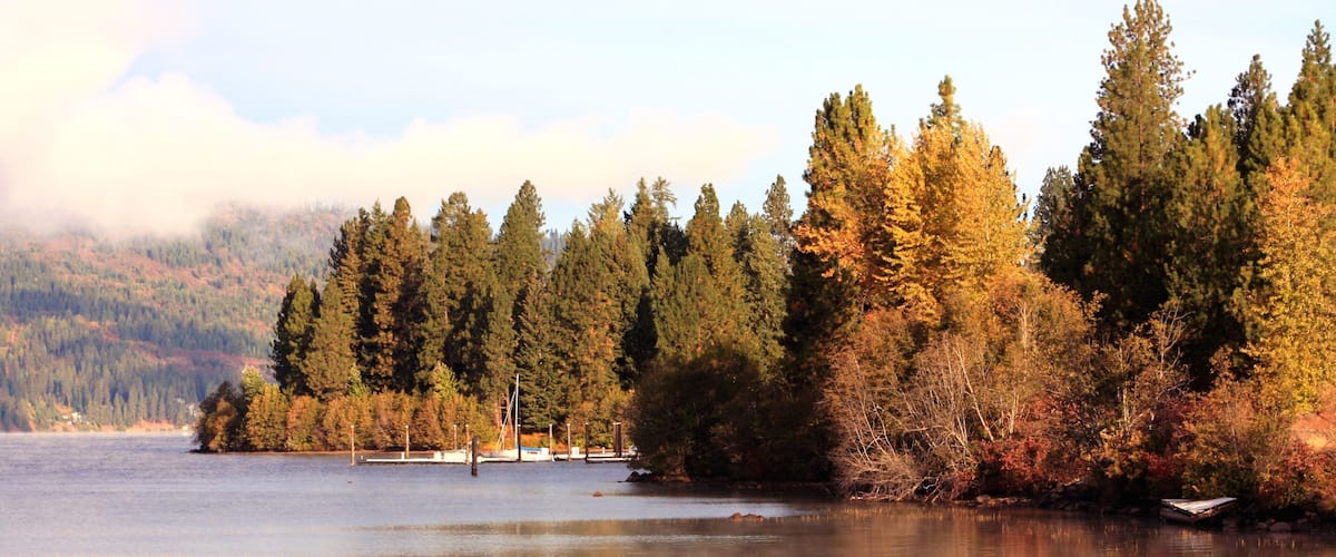 Coeur d\'Alene featuring forest scenes, fall colors and a lake or waterhole
