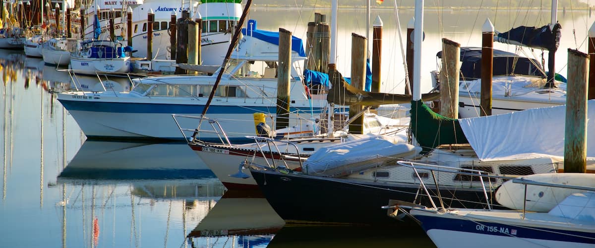 Coos Bay showing a marina
