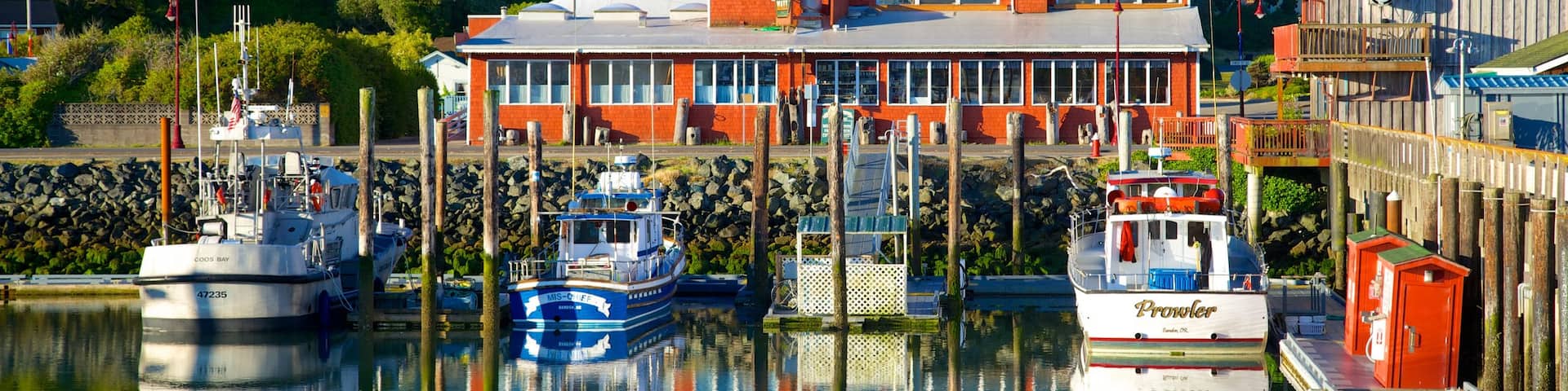 Bandon showing a coastal town and a marina
