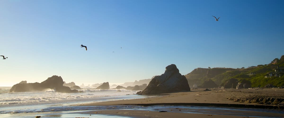Harris Beach State Park inclusief ruige kustlijn en een zandstrand