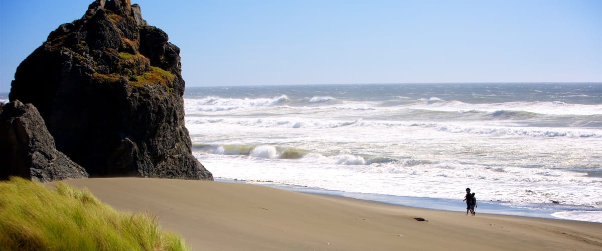Gold Beach which includes a sandy beach