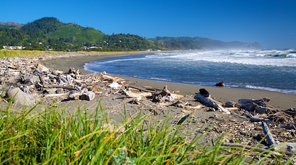 Gold Beach which includes a beach