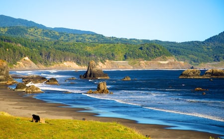 Top Hotels in Port Orford, OR from $59 | Hotels.com