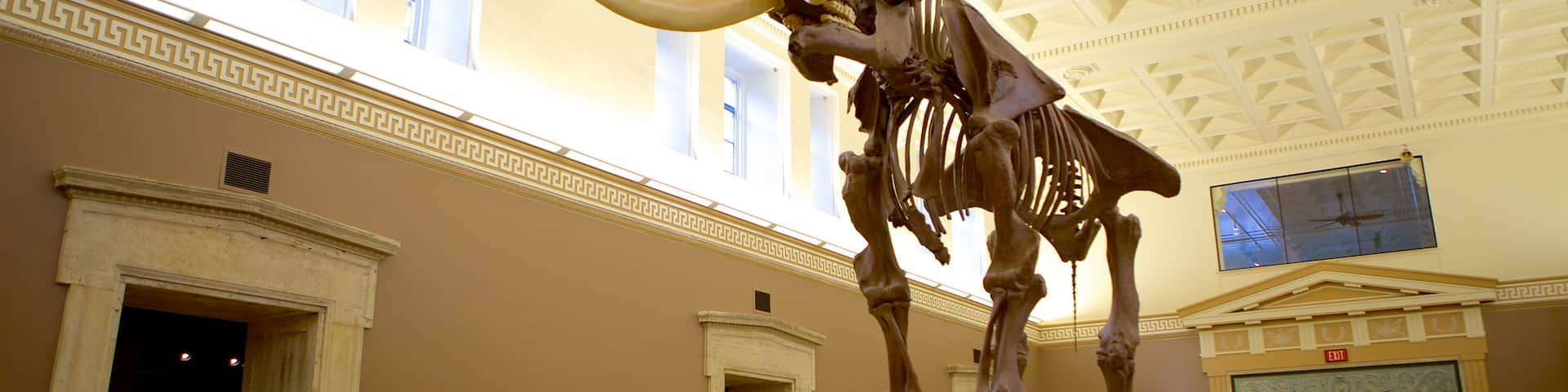 Buffalo Museum of Science showing interior views