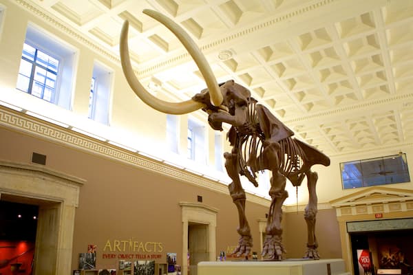 Buffalo Museum of Science featuring interior views
