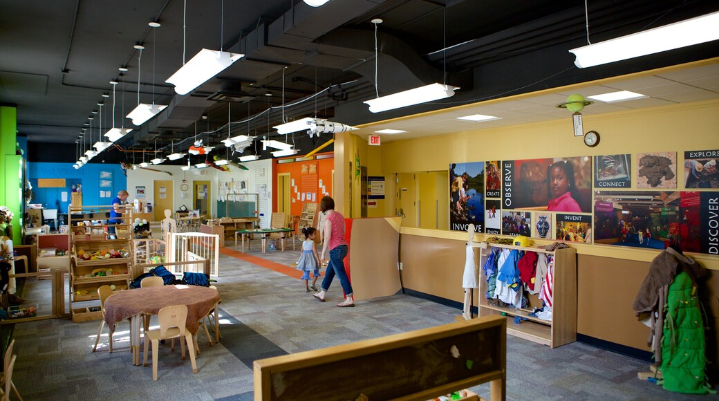 Buffalo Videnskabelige Museum som omfatter interiør