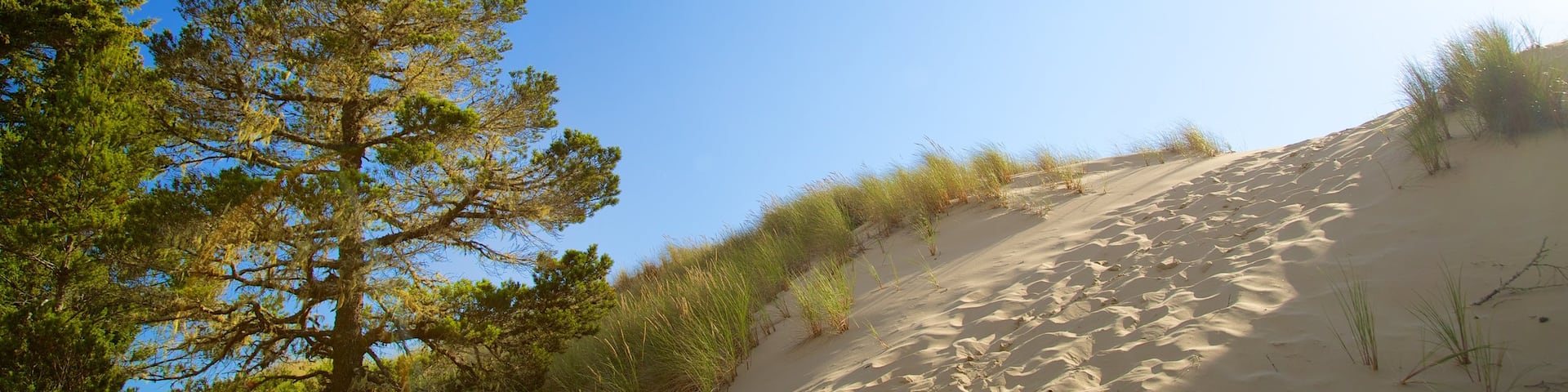 Oregon Dunes National Recreation Area