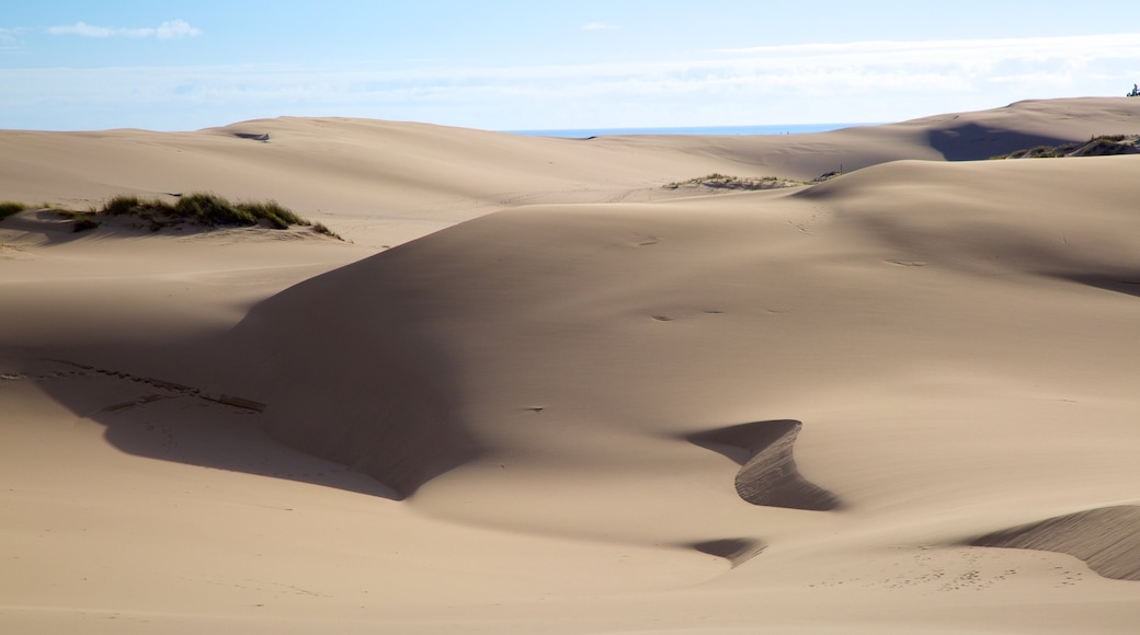 Zona nacional recreativa Oregon Dunes ofreciendo vistas al desierto y vistas de paisajes