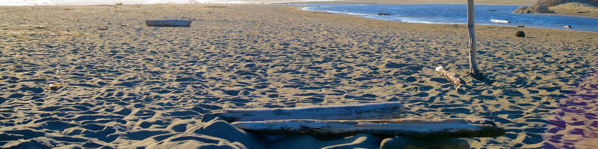Harris Beach State Park featuring landscape views and a sandy beach