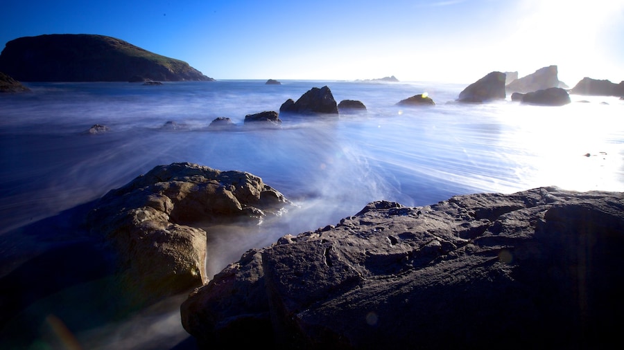 Harris Beach State Park showing rocky coastline