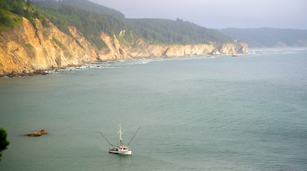 Cape Arago State Park showing rugged coastline