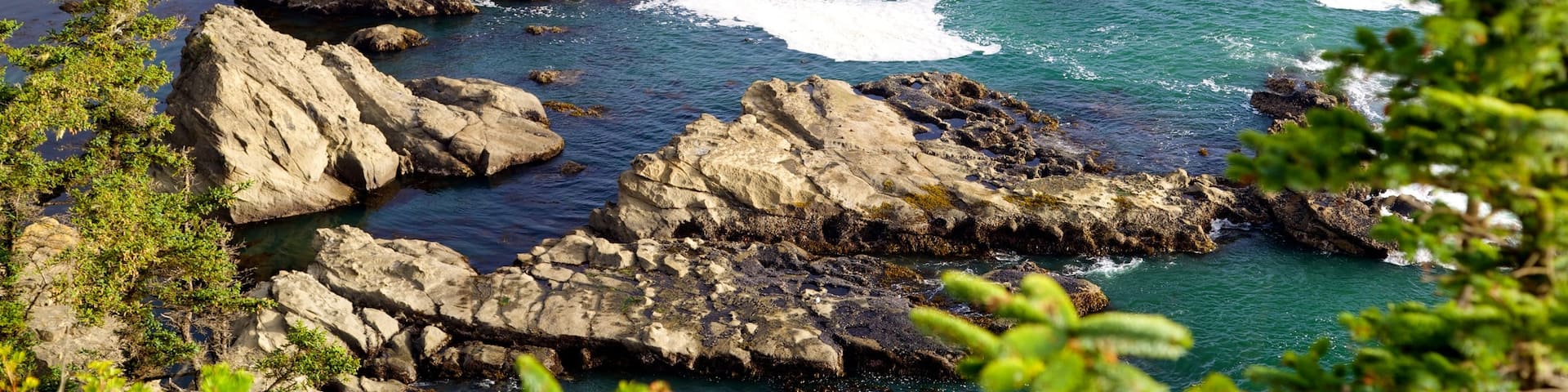 Parque estatal Cape Arago ofreciendo costa escarpada