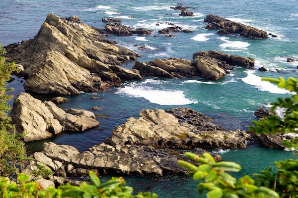 Parc régional de Cape Arago qui includes côte rocheuse