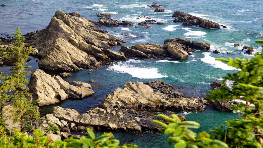 Cape Arago State Park som viser klippekystlinje