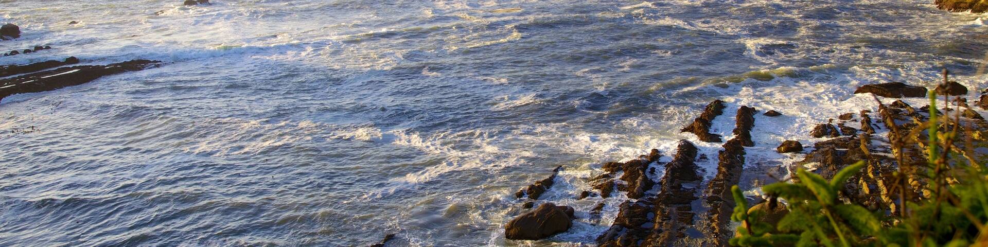 Cape Arago State Park showing rugged coastline