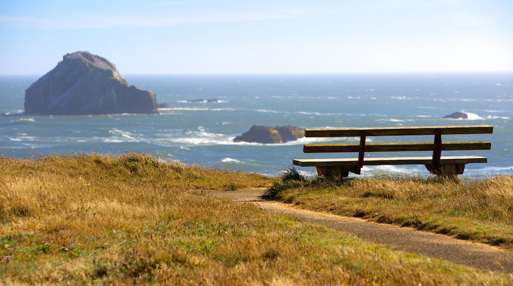 Bandon Beach which includes views and general coastal views