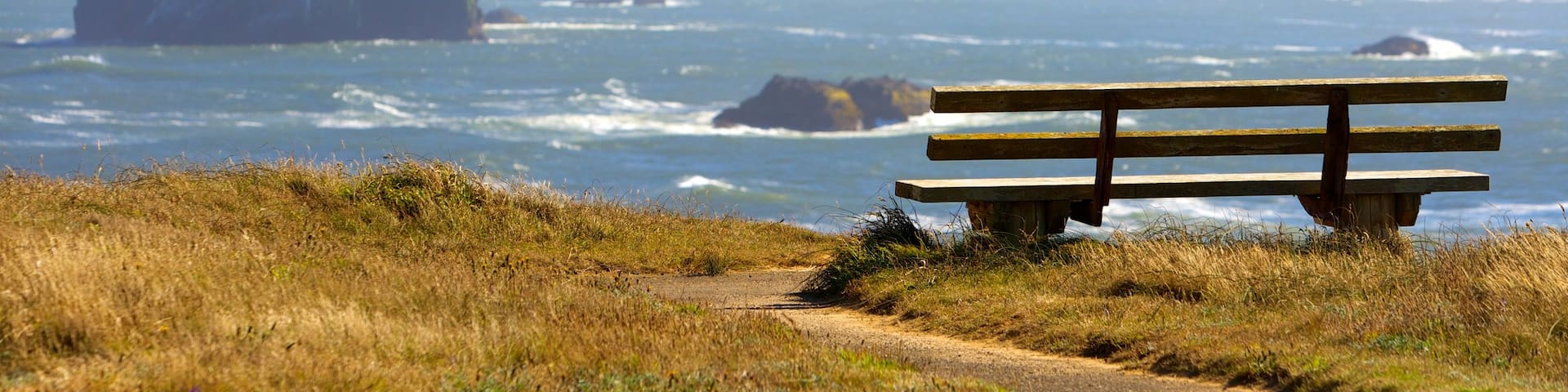 Bandon Beach which includes views and general coastal views