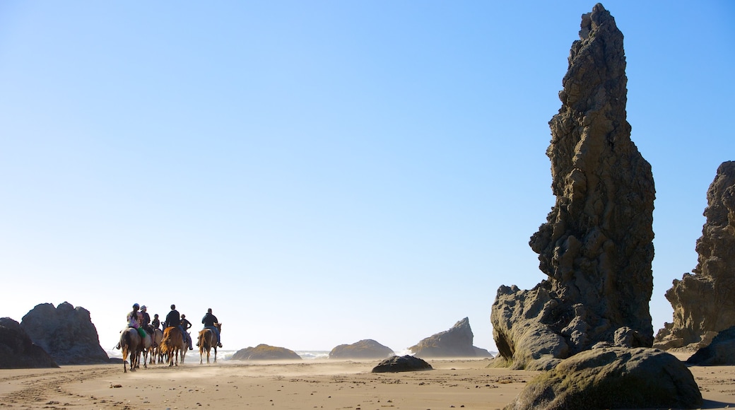 Bandon Beach caracterizando animais terrestres e cavalgada