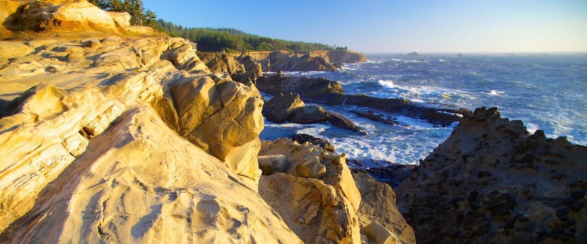 Shore Acres State Park which includes rugged coastline