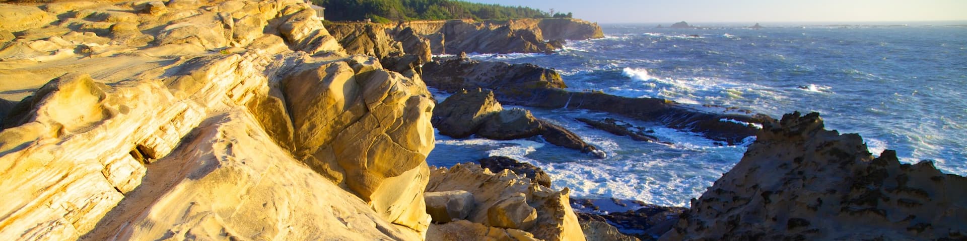 Shore Acres State Park showing rocky coastline