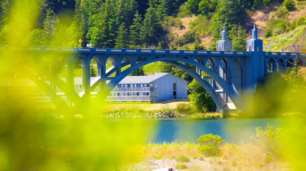 Patterson Bridge which includes a bridge and a river or creek