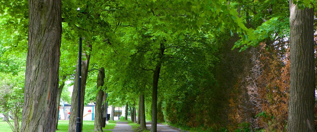 Granby showing a park
