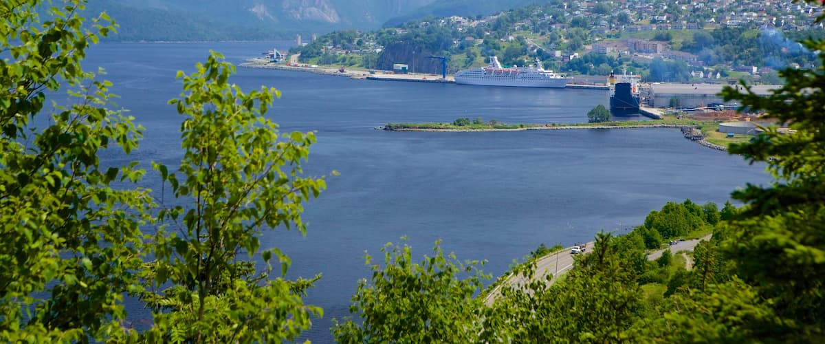 Corner Brook ofreciendo una bahía o puerto