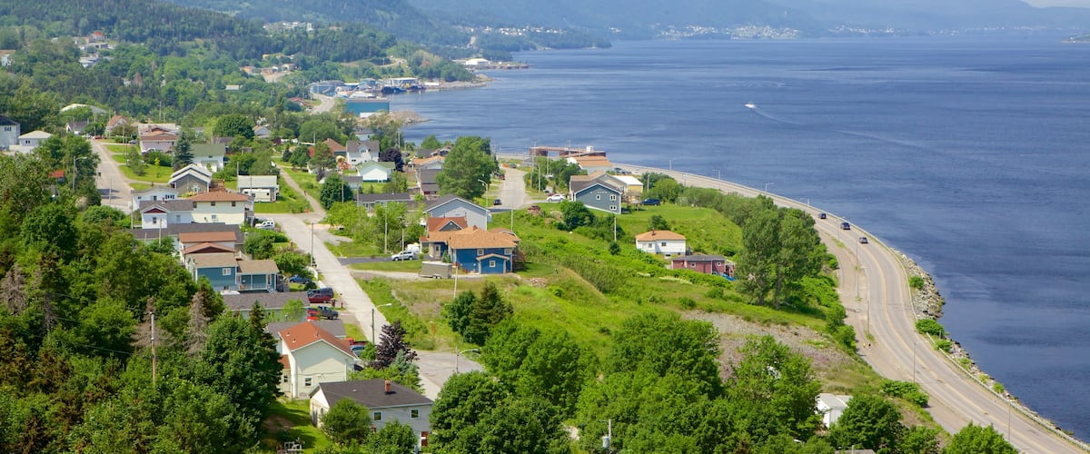Corner Brook featuring general coastal views and a coastal town