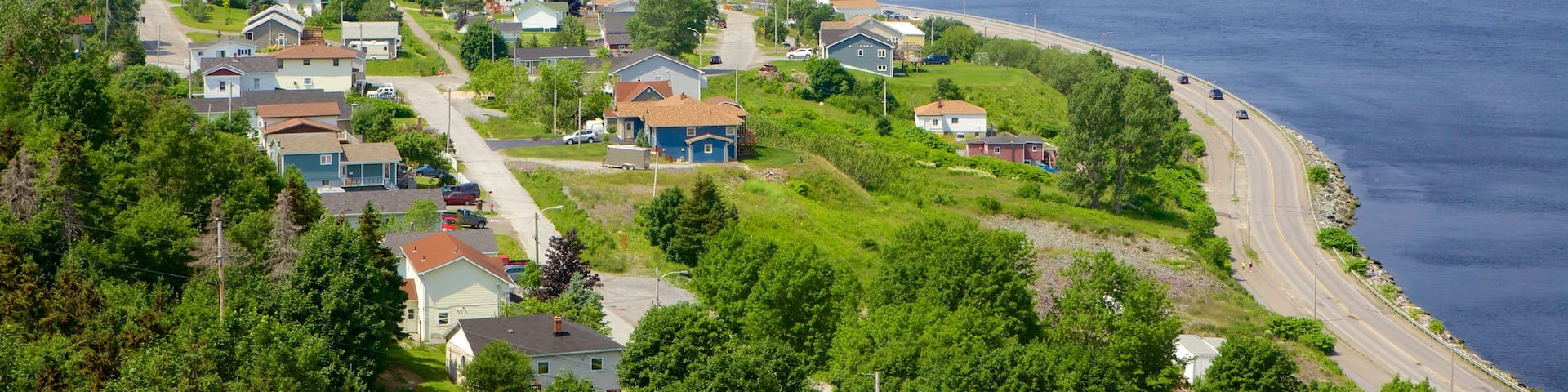 Corner Brook welches beinhaltet allgemeine KĂŒstenansicht und KĂŒstenort