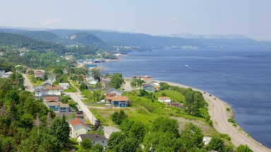 Corner Brook featuring a coastal town and general coastal views