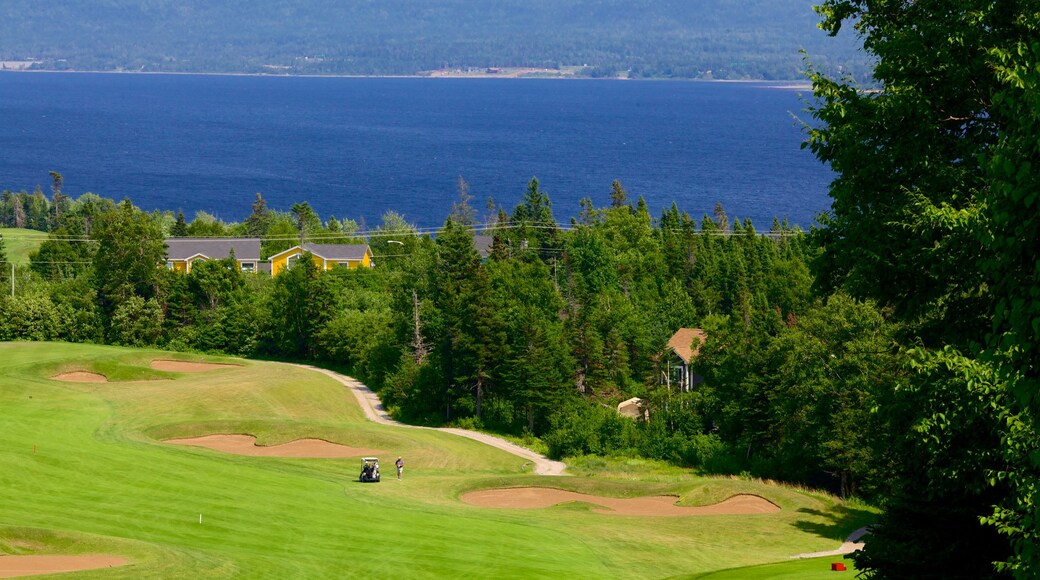 Humber Valley caratteristiche di golf