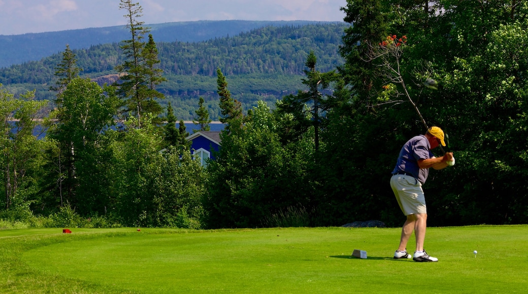 Humber Valley bevat golf en ook een man