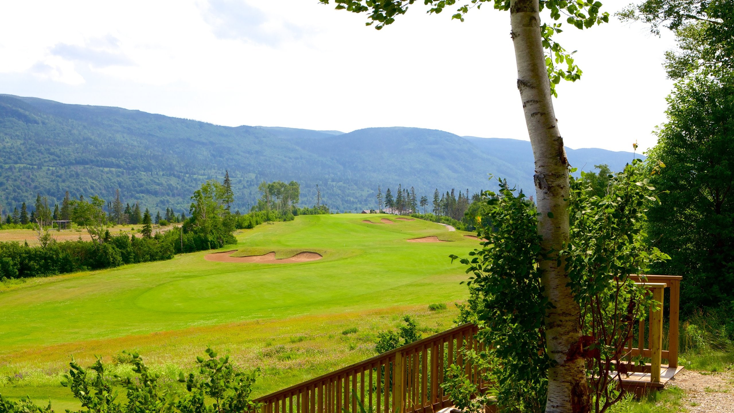 Humber Valley, NL Vacation Rentals house rentals & more Vrbo