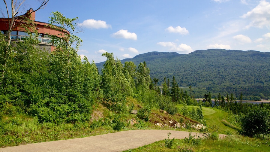 Humber Valley
