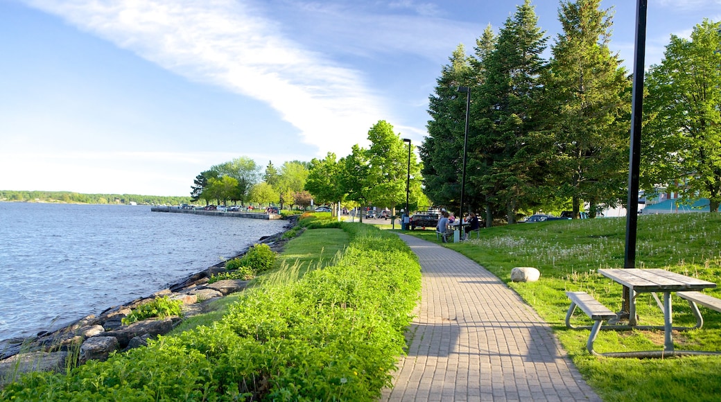 Brockville toont een park en een rivier of beek