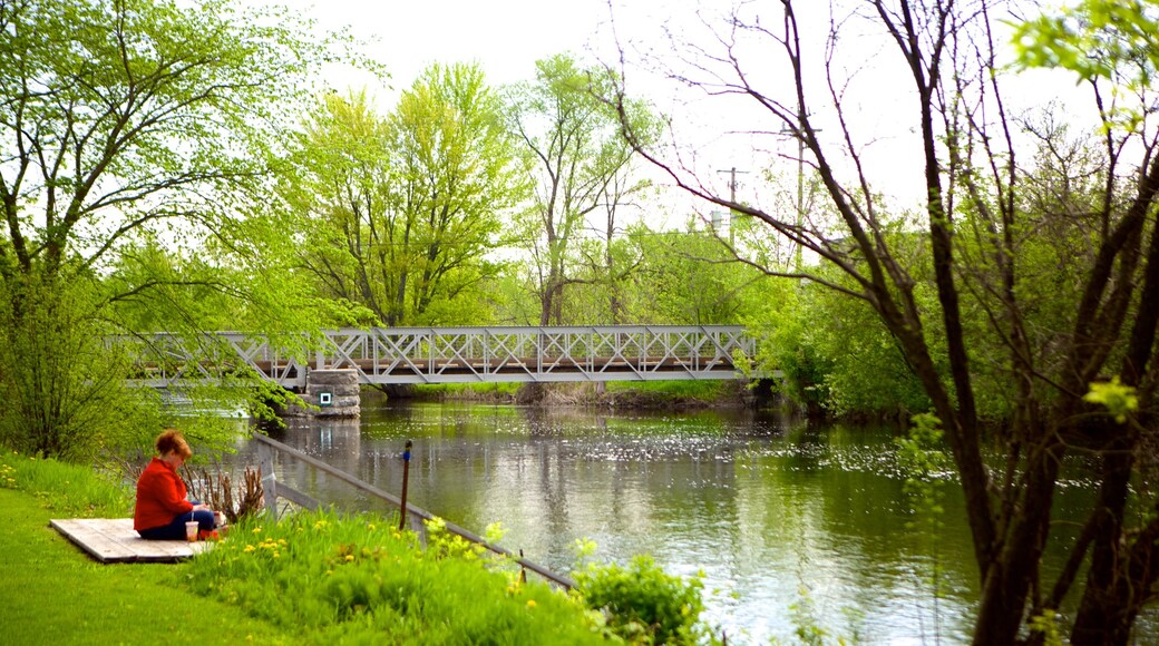 Perth featuring a river or creek and a bridge as well as an individual female