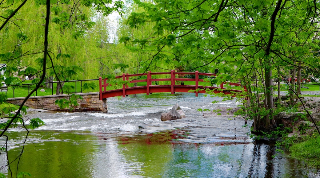 Perth showing a river or creek and a bridge