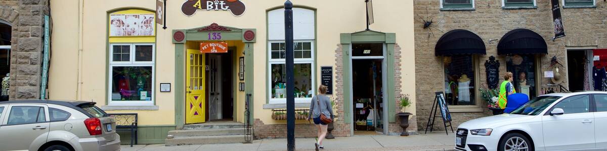Merrickville welches beinhaltet Straßenszenen