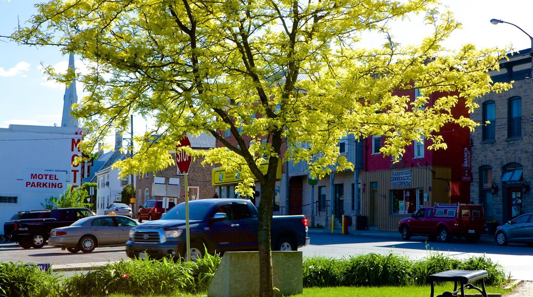 Kemptville welches beinhaltet Straßenszenen