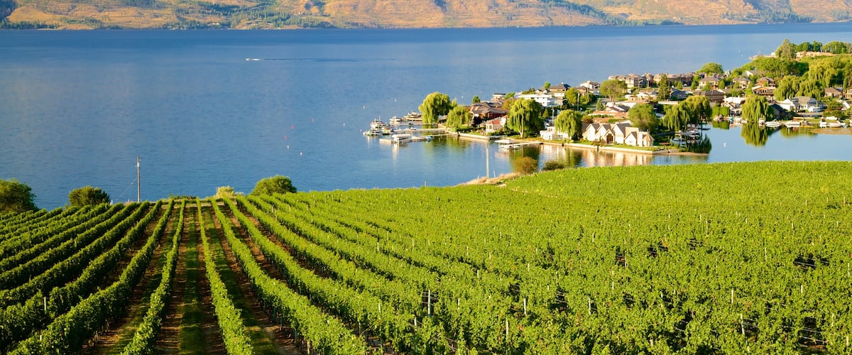 Quails\' Gate Estate Winery which includes a river or creek and farmland