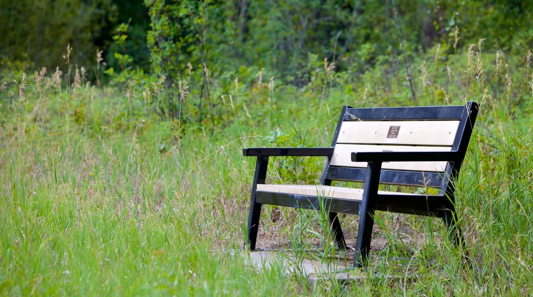 Scenic Canyon Regional Park showing a garden