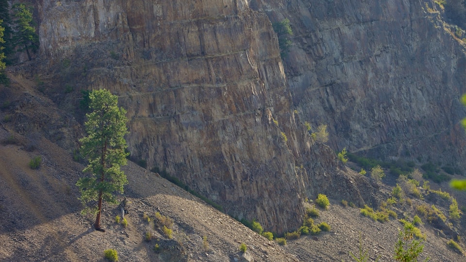 Scenic Canyon Regional Park showing a gorge or canyon