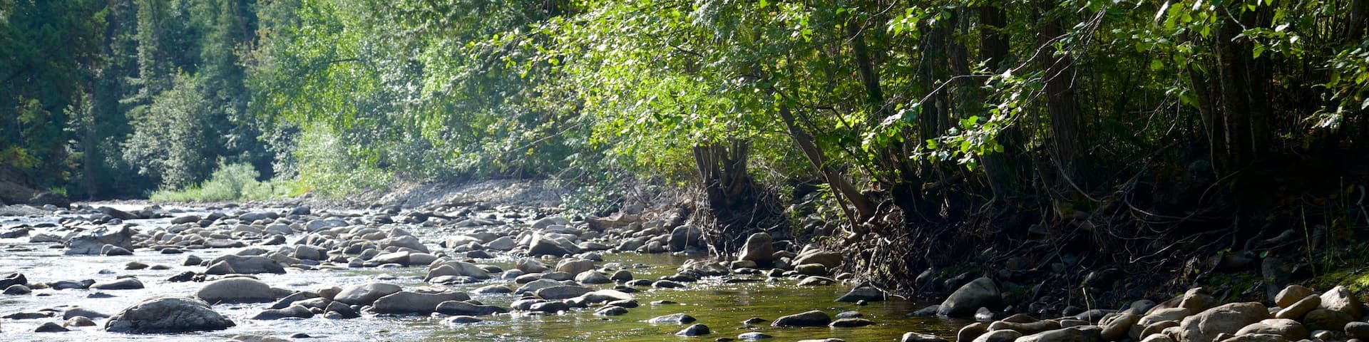 Scenic Canyon Regional Park mettant en vedette une riviĂšre ou un ruisseau