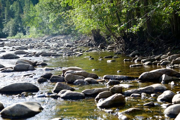 Scenic Canyon Regional Park montrant riviĂšre ou ruisseau