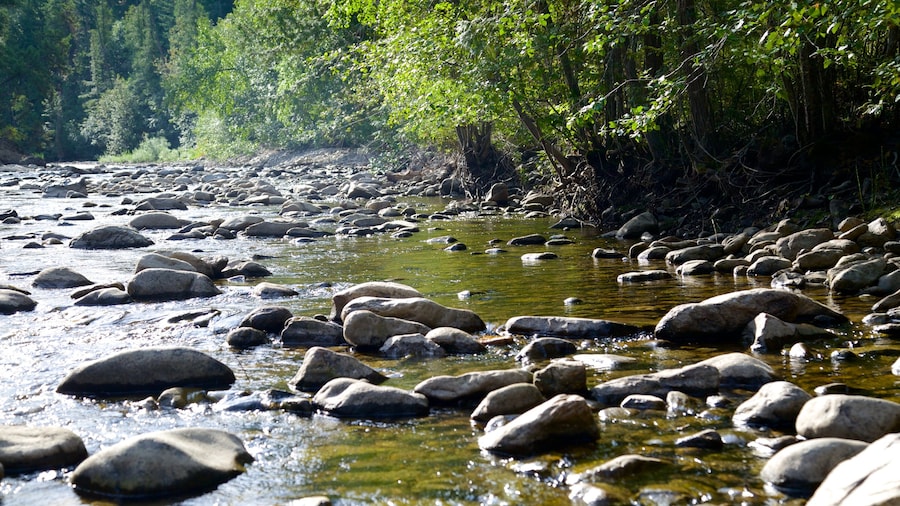 Taman Wilayah Scenic Canyon
