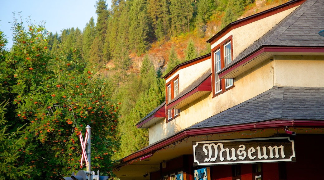 Castlegar featuring signage and heritage architecture