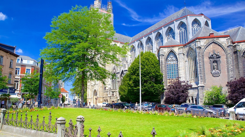 St.-Bavo-Kathedrale das einen Straßenszenen, religiöse Aspekte und Kirche oder Kathedrale