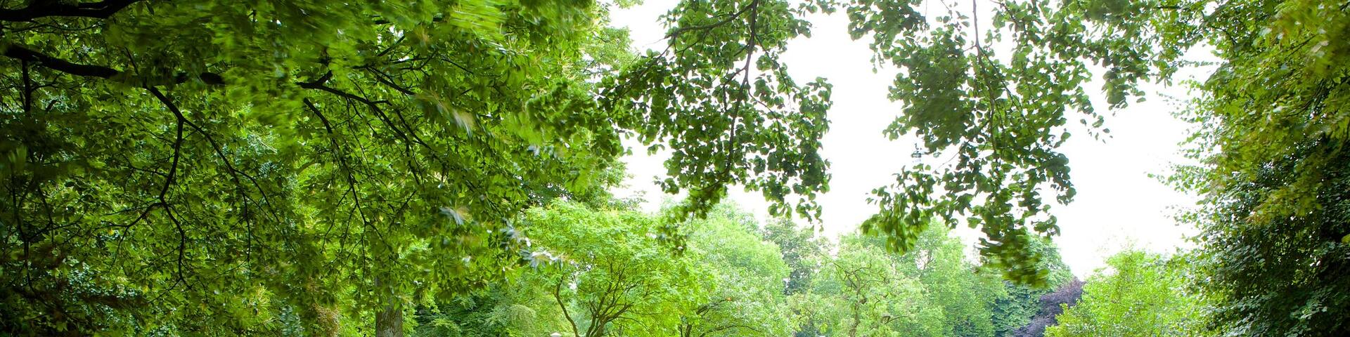 Citadel Park which includes a park and a cemetery