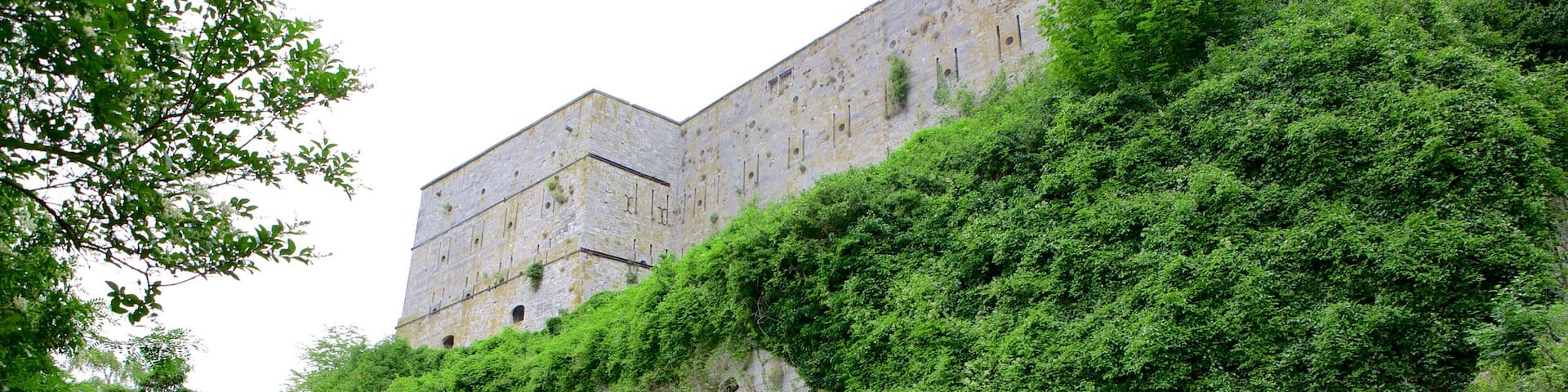 Citadel of Huy showing a castle and heritage architecture